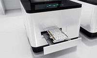 Nucleic Acid Detection Kit