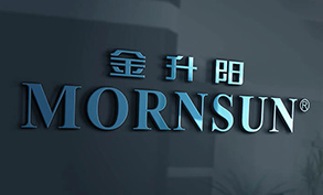 MORNSUN Company Introduction