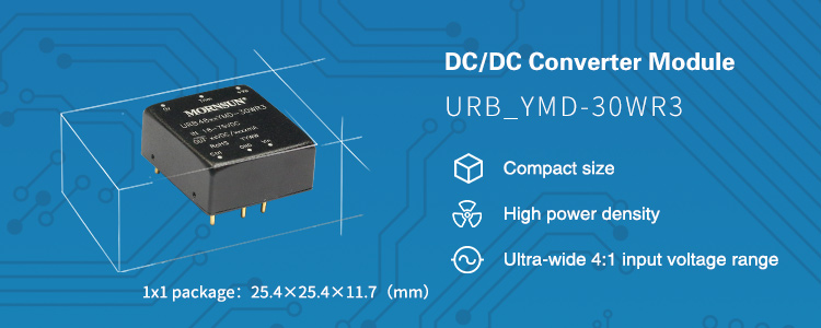 DC/DC Converter Series URB_YMD-30WR3